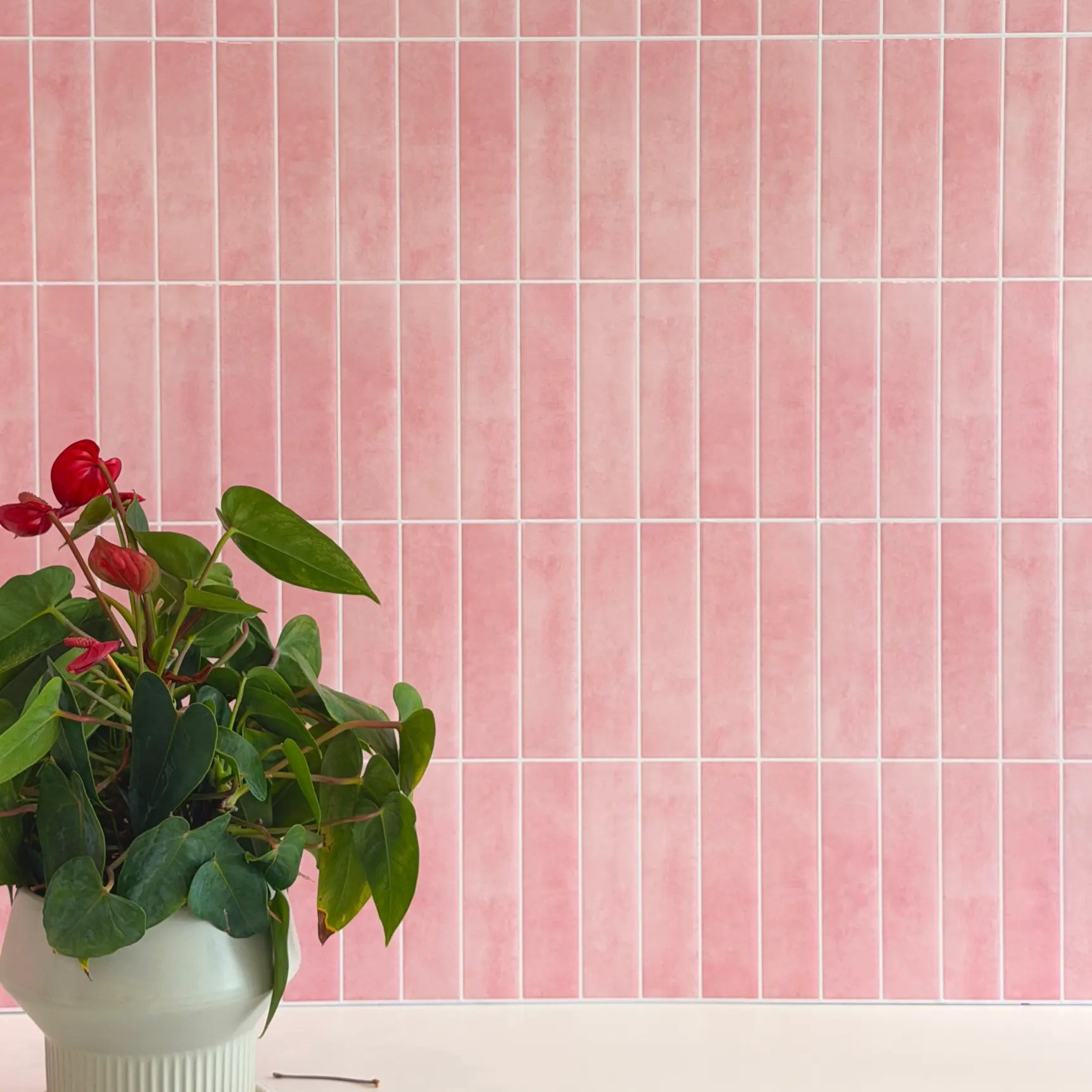 Stickwoll – sakurablomning